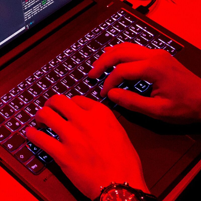 Treiber der Digitalwirtschaft ist laut Bitkom besonders Software. (Symbolbild) - Foto: Daniel Bockwoldt/dpa