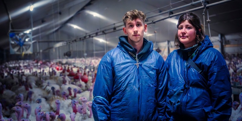 Sänger Tom Twers rettet Puten aus Mastanlage - ANINOVA deckt grausame Zustände auf - Foto: presseportal.de