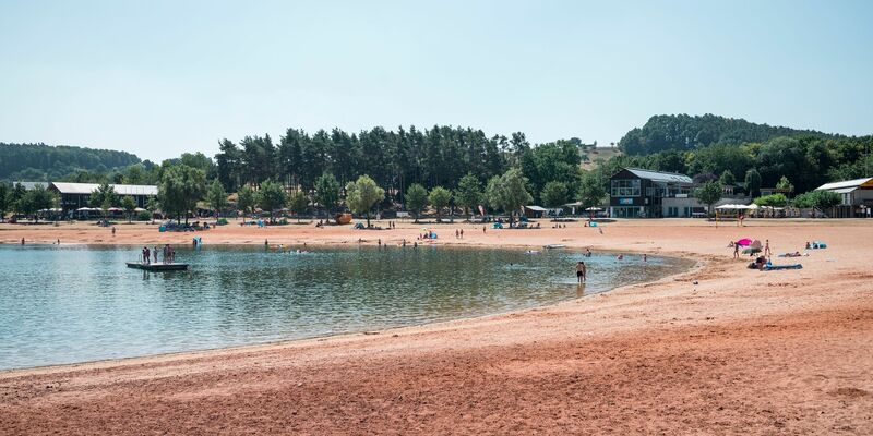 Erneut greift ein Wels einen Schwimmer in der Region an. (Symbolbild) - Foto: Daniel Vogl/dpa