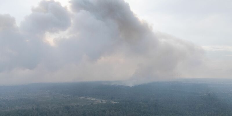 Es wurde Katastrophenalarm ausgelöst - Foto: Sebastian Kahnert/dpa