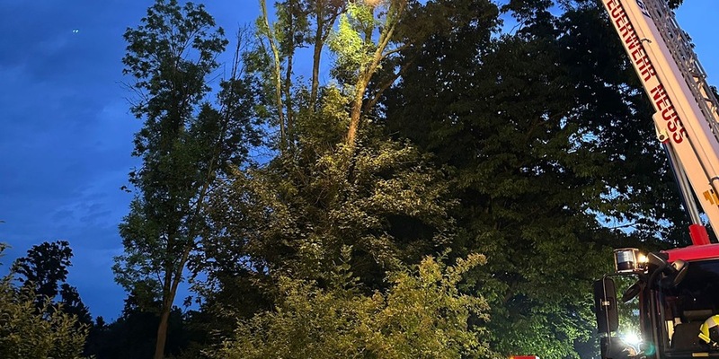 FW-NE: Zwei Unwettereinsätze in Neuss | Unwetter verschont Stadtgebiet weitgehend - Foto: presseportal.de