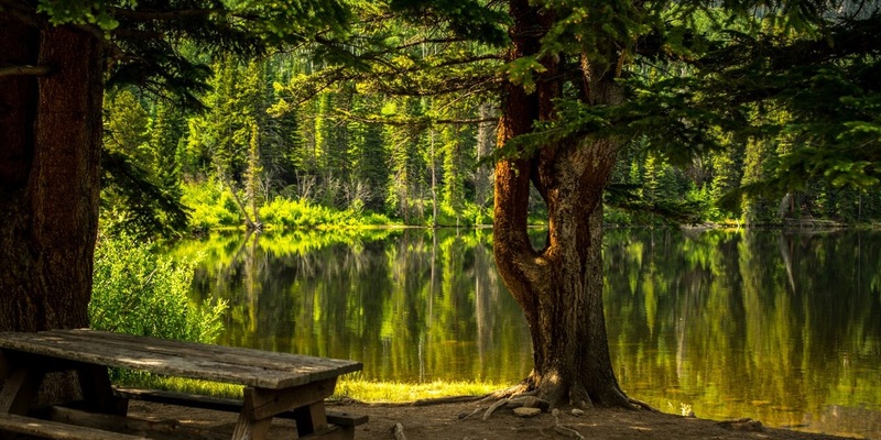 Thank Nature im Check: Wie sinnvoll sind natürliche Alternativen zur klassischen Medizin? Ein neuer Blick auf Bluthochdruck & Co. - und eine Marke, die mitgeht - Foto: presseportal.de