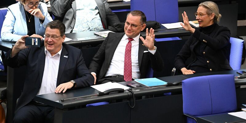 Besonders AfD-Abgeordnete sind in der Vergangenheit durch einen rauen Ton im Parlament aufgefallen. (Archivfoto) - Foto: Bernd von Jutrczenka/dpa