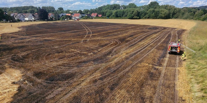 FW-DT: Vegetationsbrand - Übergreifen auf Wald verhindert - Foto: presseportal.de