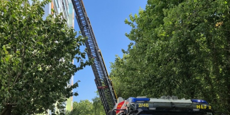 Feuerwehr MTK: Wohnungsbrand in Okrifteler Hochhaus - Mehrere Menschen und Tiere gerettet - Foto: presseportal.de