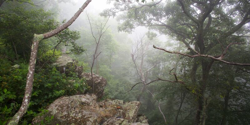 Trump: Nationalparkbesuch wird für ausländische Touristen teurer - Foto: Jim Lo Scalzo/dpa
