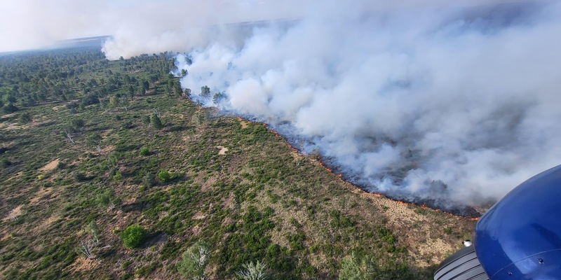 BPOLD 11: Unterstützung der Bundespolizei aus der Luft bei der Brandbekämpfung in der Gohrischheide - Foto: presseportal.de