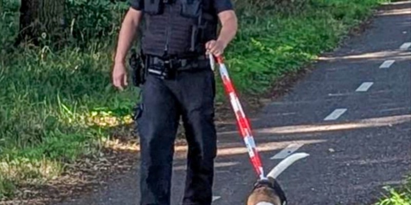 BPOL-BadBentheim: Bundespolizei rettet Hund von Fahrbahn - Foto: presseportal.de