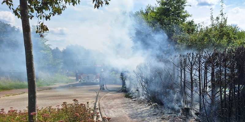 FW Bocholt: Heckenbrand in Mussum - Foto: presseportal.de
