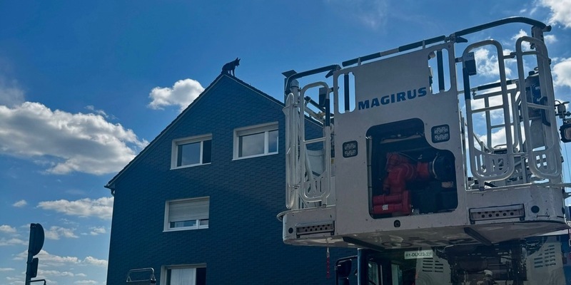 FW-RS: Hund auf Hausdach sorgt für ungewöhnlichen Feuerwehreinsatz - Foto: presseportal.de