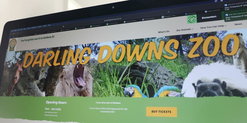 In dem Zoo leben verschiedene Raubkatzen, neben Löwen auch Leoparden und Geparden. - Foto: Rounak Amini/AAP/dpa