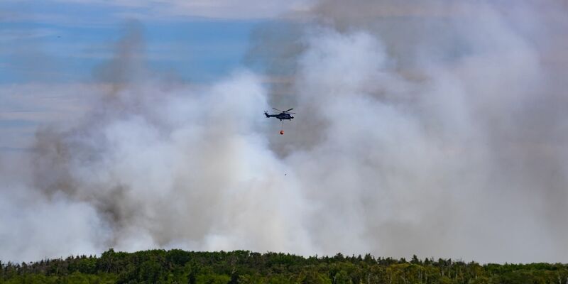 Die Gohrischheide ist ein Naturschutzgebiet, auf dem sich bis 1992 ein Truppenübungsplatz der Sowjetarmee befand. - Foto: Robert Michael/dpa