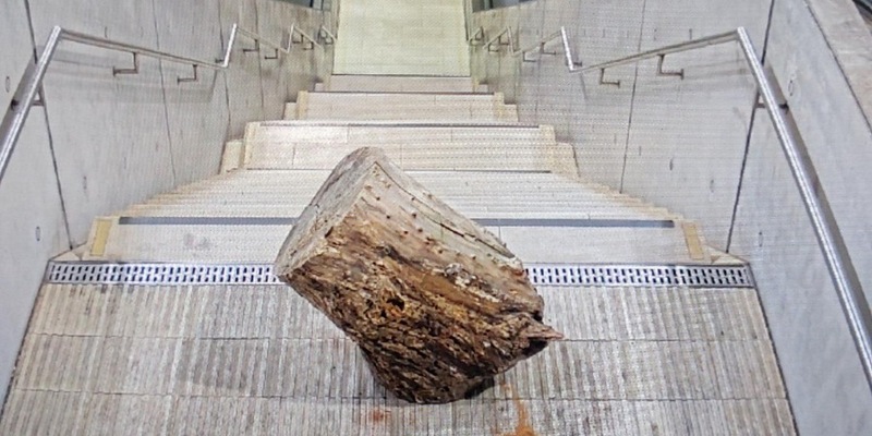 BPOLI L: Das ist kein dummer Jungen Streich mehr - Jugendliche werfen Teil eines Baumstammes in den S-Bahnhaltepunkt Wilhelm-Leuschner-Platz - Foto: presseportal.de