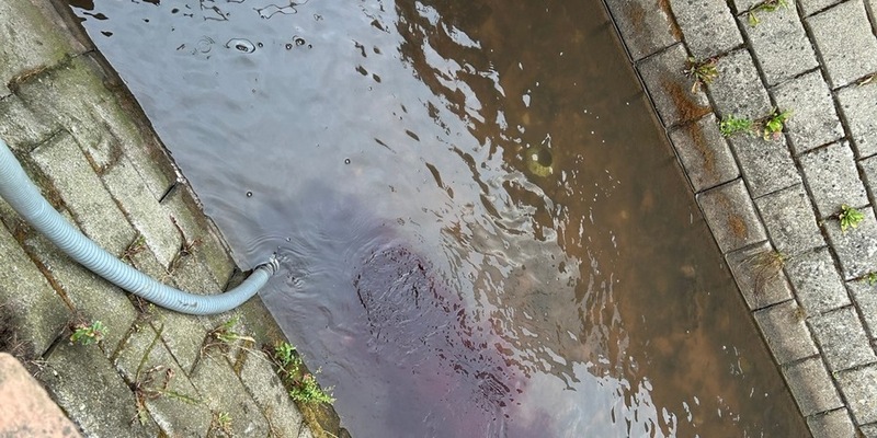 POL-PDLD: zu viel des guten Weines - Foto: presseportal.de