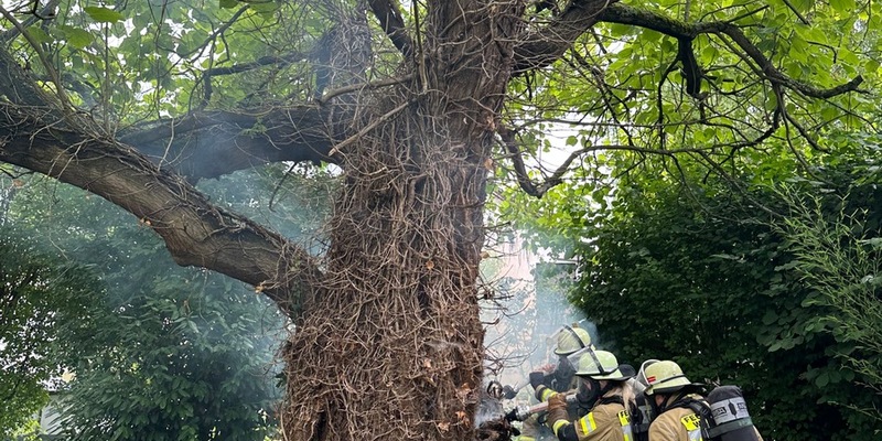 FW Weinheim: Baumbrand im Kastanienweg erfordert aufwendigen Löscheinsatz - Foto: presseportal.de