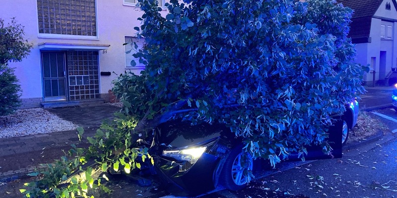 POL-RBK: Bergisch Gladbach - Nach Sekundenschlaf gegen Baum gefahren - Foto: presseportal.de