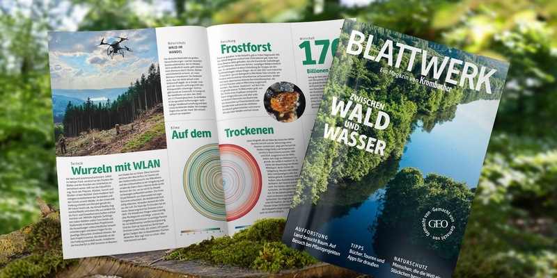 Wald im Fokus: Krombacher veröffentlicht neue Ausgabe des Magazins Blattwerk in Kooperation mit GEO - Foto: presseportal.de