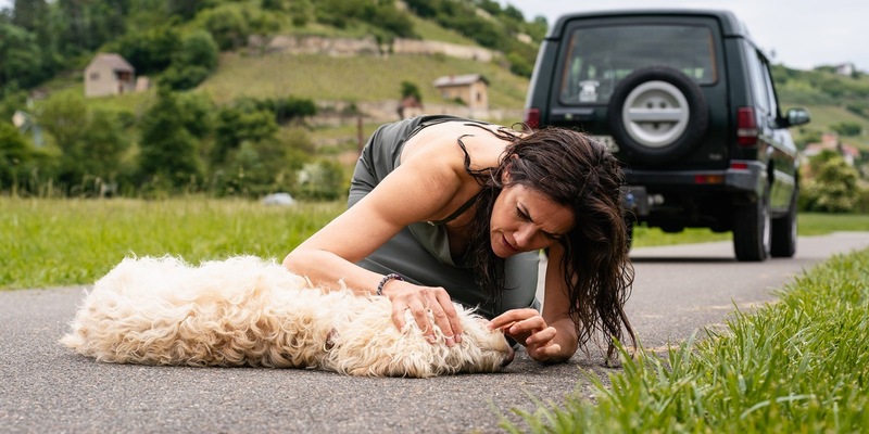 Mediendossier zur ARD-Reihe „Zwei Frauen für alle Felle“ - Foto: presseportal.de