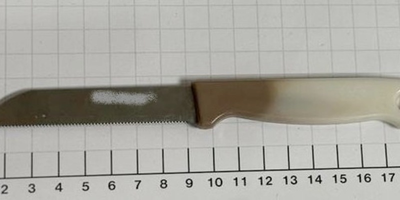 BPOL NRW: Hauptbahnhof Essen und Dortmund: Bundespolizei beschlagnahmt mehrere Messer - Foto: presseportal.de