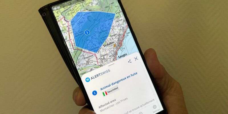 Das Tier wurde gefunden, es wurde niemand verletzt. - Foto: Christiane Oelrich/dpa
