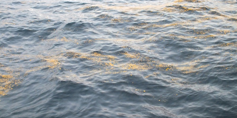 BPOL-CUX: Gewässerverunreinigung in der Nordsee - Tatverdächtiges Fahrzeug festgestellt - Foto: presseportal.de