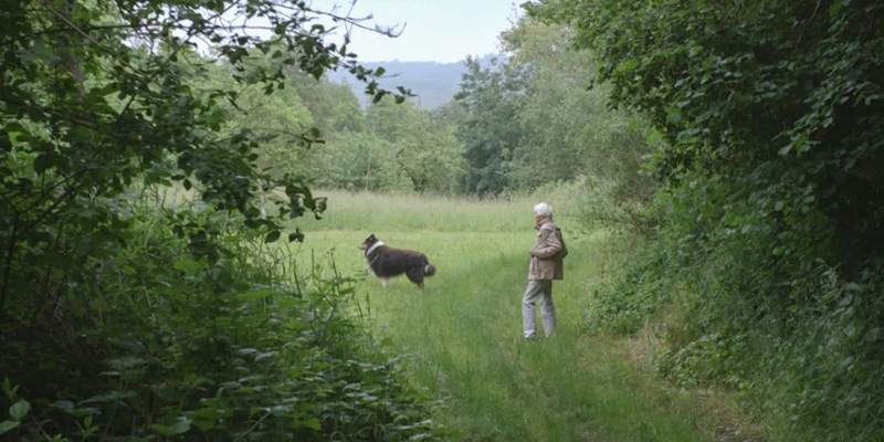 Es geschah auf unserem Grund: Drei Frauen und ein belastendes Erbe - Foto: presseportal.de