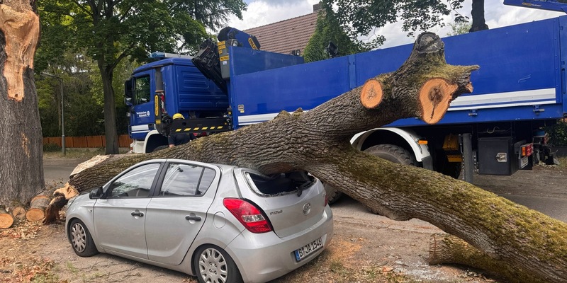 THW LVBEBBST: Das THW unterstützt die Beseitigung von Sturmschäden in Berlin-Reinickendorf - Foto: presseportal.de
