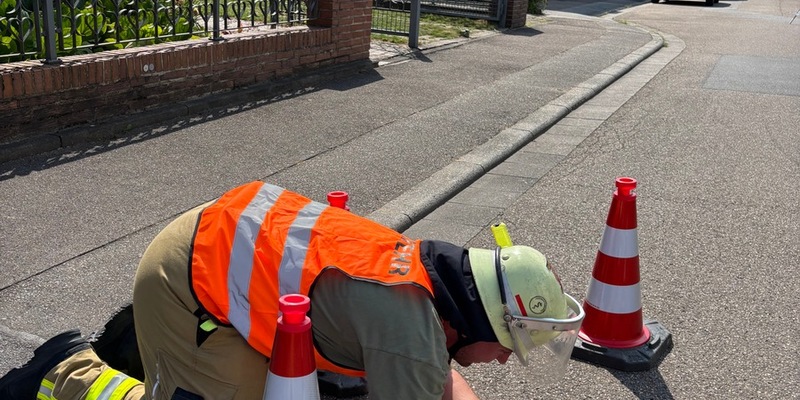 FW Weinheim: Wenn jede Minute zählt, Einsatzmarathon für Weinheims Feuerwehr - Foto: presseportal.de