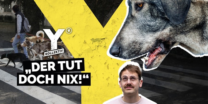 Y-Kollektiv: Der tut doch nix - Kann ich meine Angst vor Hunden besiegen? ab 14. Juli in der ARD Mediathek - Foto: presseportal.de