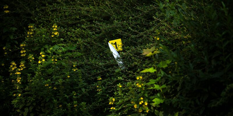 Die Einsatzkräfte untersuchen den Tatort nach Spuren der Auseinandersetzung. - Foto: Sina Schuldt/dpa