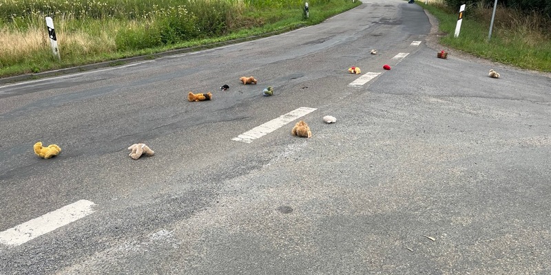 POL-COE: Olfen, Waltroper Straße/Kuscheltiere auf der Fahrbahn, Besitzer gesucht - Foto: presseportal.de