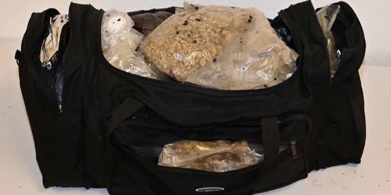 POL-STD: Drogenfund an der Aue in Horneburg in 2024 - Polizei sucht Hinweise und Zeugen - Foto: presseportal.de