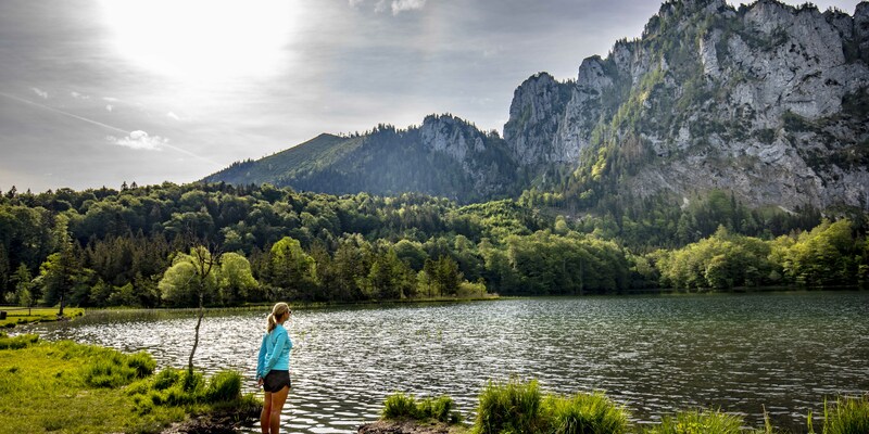 Waldluftbaden am Laudachsee - Foto: TVB Traunsee-Almtal/Löff über pressetext.de