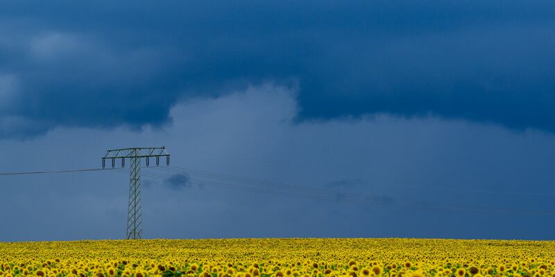 Es wird am Mittwoch wieder nass.  - Foto: Patrick Pleul/dpa