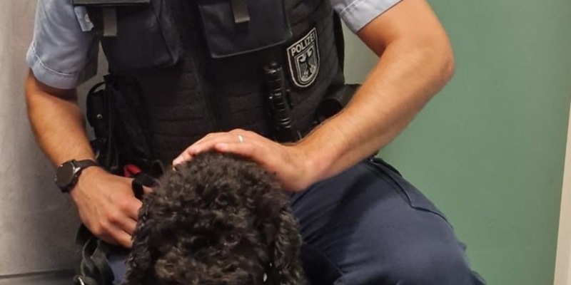 POL-OG: Mittelbaden - Mit guten Nachrichten ins Wochenende - Foto: presseportal.de