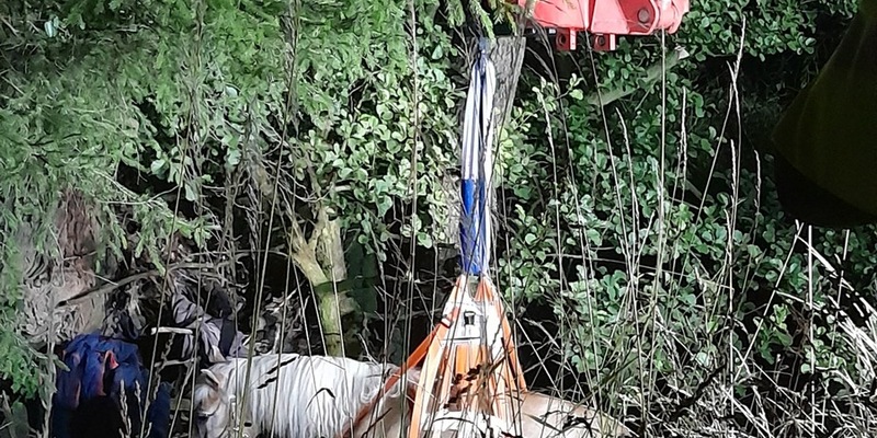 FW Lage: Pferd aus Bachlauf gerettet - aufwändiger Tierrettungseinsatz in Oetternbach - Foto: presseportal.de