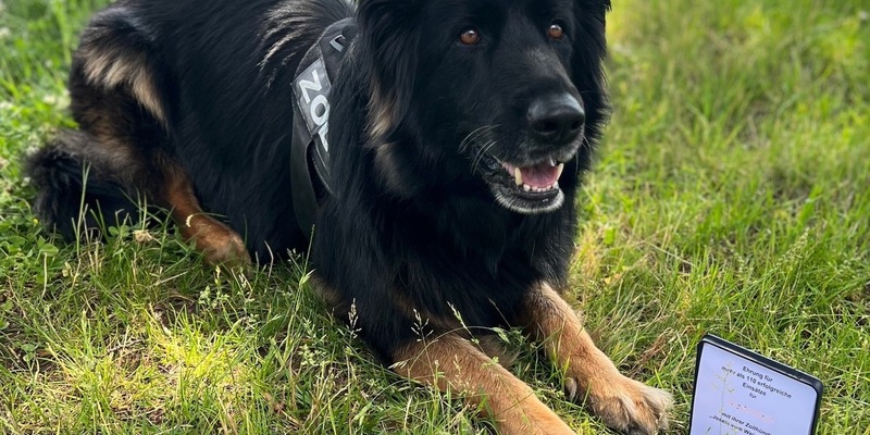 HZA-M: Zollhündin Josefa für mehr als 100 erfolgreiche Einsätze ausgezeichnet - Foto: presseportal.de