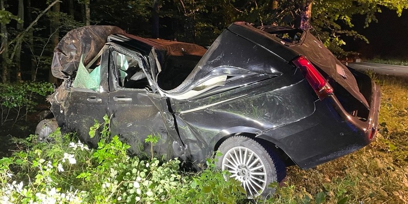 POL-PDKL: Bei Wildunfall Kontrolle über Wagen verloren - Foto: presseportal.de