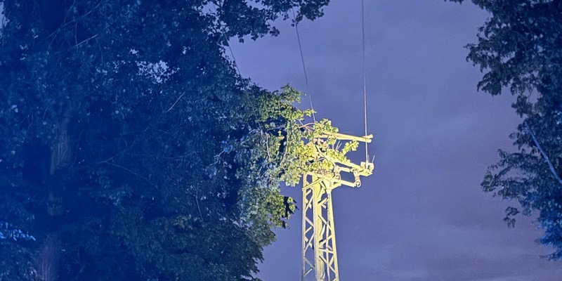 FW Alpen: Äste stürzten auf Stromleitung - Foto: presseportal.de