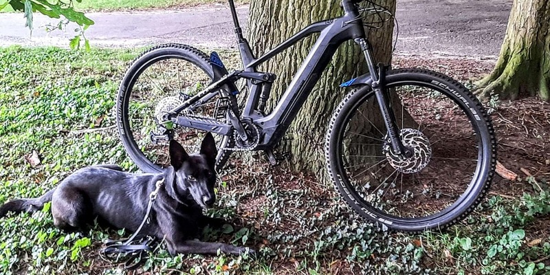 BPOL-KI: Diensthunde der Bundespolizei finden gestohlene Fahrräder im Wald - Foto: presseportal.de