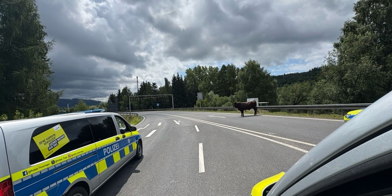 LPI-SHL: Bulle in Richtung Autobahn unterwegs - Foto: presseportal.de