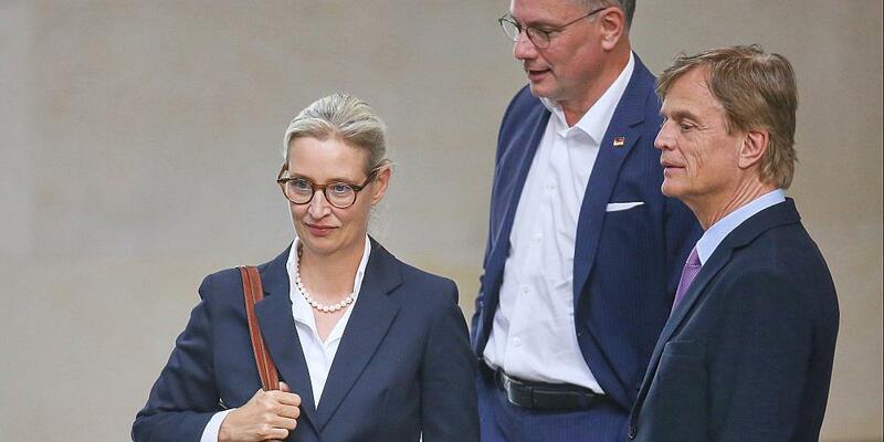 Alice Weidel, Tino Chrupalla und Bernd Baumann (Archiv) - Foto: über dts Nachrichtenagentur