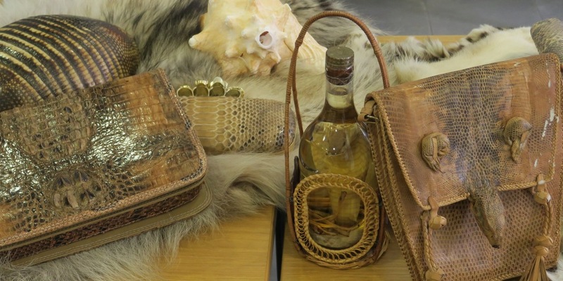 HZA-N: Gut informiert durch den Zoll: Tipps für Reisende in der Urlaubszeit - Foto: presseportal.de