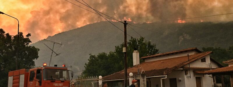 Mit der anhaltenden Trockenheit steigt auch die Gefahr von verheerenden Waldbränden. - Foto: Vasilis Psomas/AP/dpa