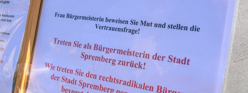 Die Gruppe der Demonstranten ist überschaubar. - Foto: Patrick Pleul/dpa