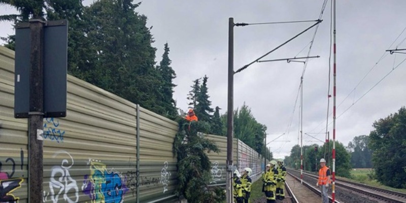 BPOL-FL: Baum fällt auf Lärmschutzwall - Oberleitung muss für Feuerwehreinsatz abgeschaltet werden - Foto: presseportal.de