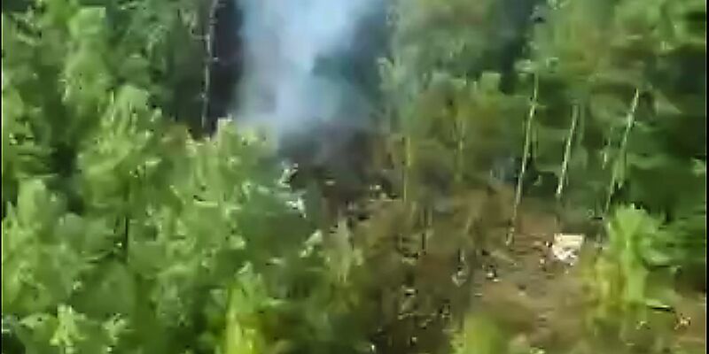 Die Absturzstelle in der Taiga ist für die Helfer schwer zu erreichen. - Foto: Uncredited/Russia Emergency Situations Ministry press service/AP/dpa