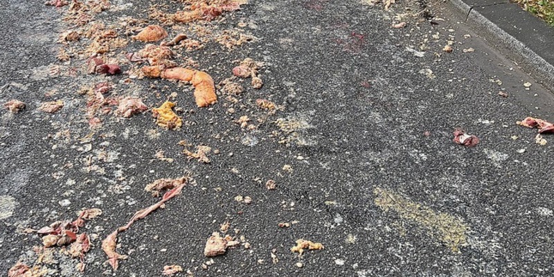 FW-M: Tierische Sauerei (Isarvorstadt) - Foto: presseportal.de