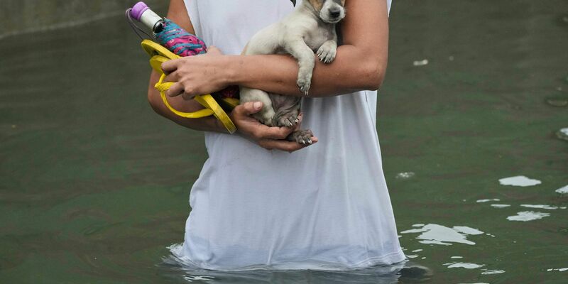 Der Tropensturm Co-may hat vor allem den Nordern der Philippinen getroffen - Foto: Aaron Favila/AP/dpa