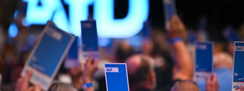 Die AfD will ihre neue Jugendorganisation stärker an sich binden. (Archivbild) - Foto: Heiko Rebsch/dpa